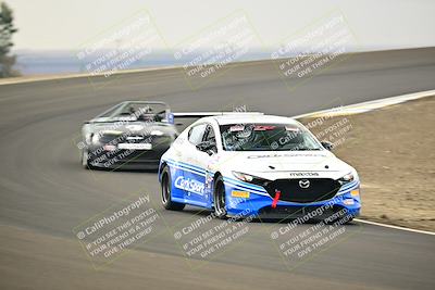 media/Jan-26-2025-CalClub SCCA (Sun) [[cfcea7df88]]/Group 5/Race/